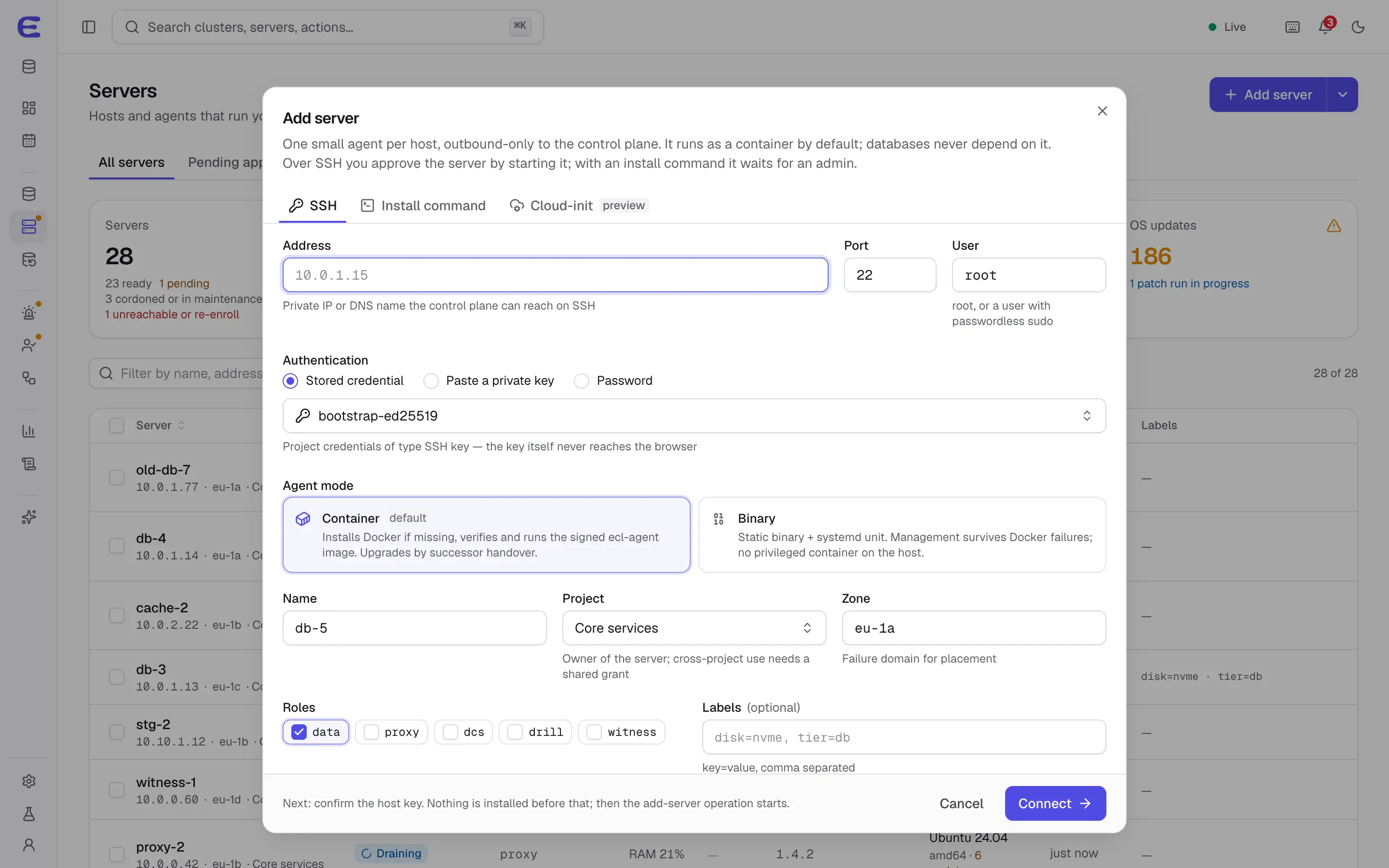 Add server dialog: address, port and user for SSH, stored SSH credential, container or binary agent mode, name, project, zone and server roles.
